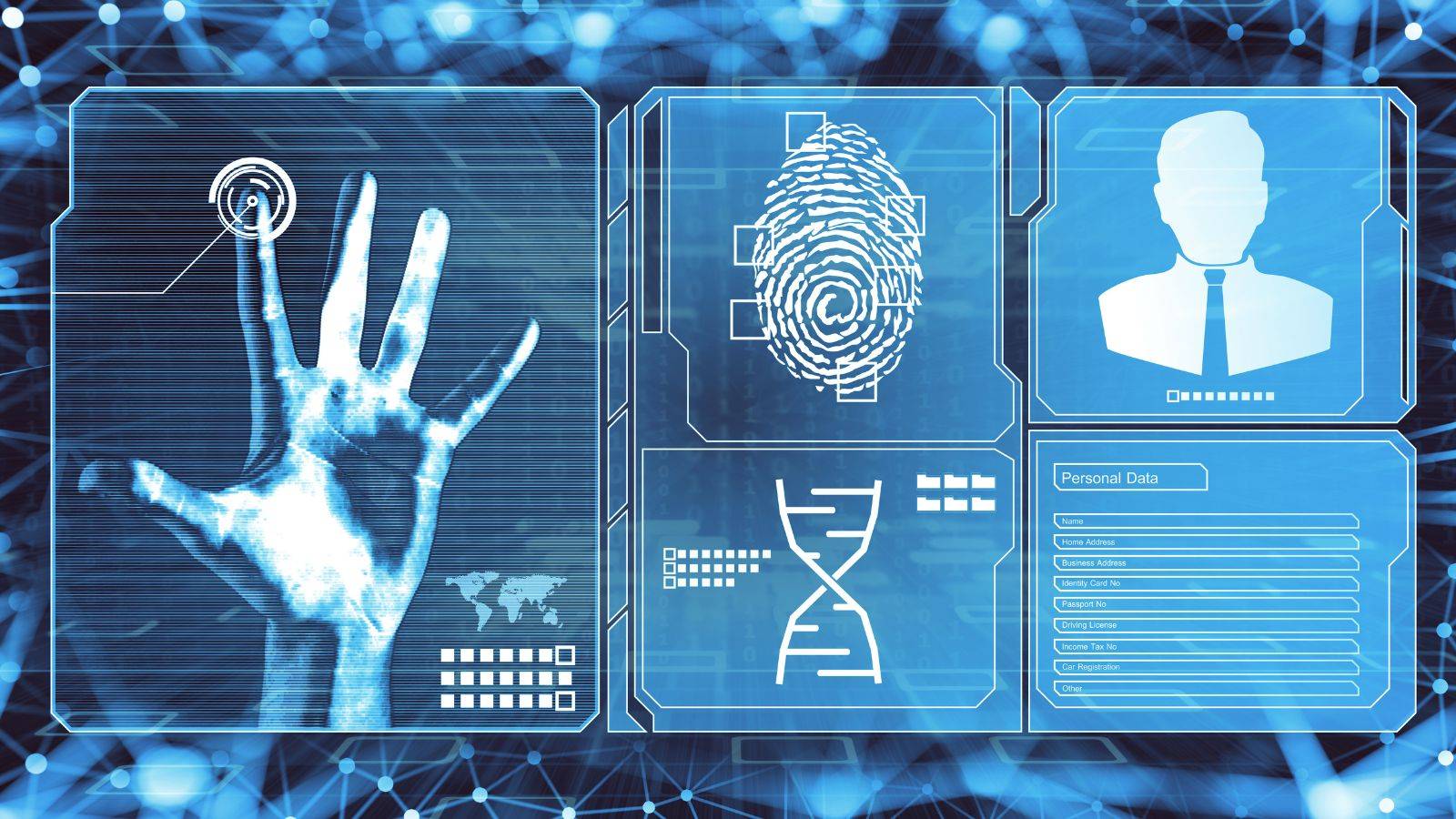 Comprehensive biometric identity verification interface showing ILR biometric card 2025 application multi-layer security screening process