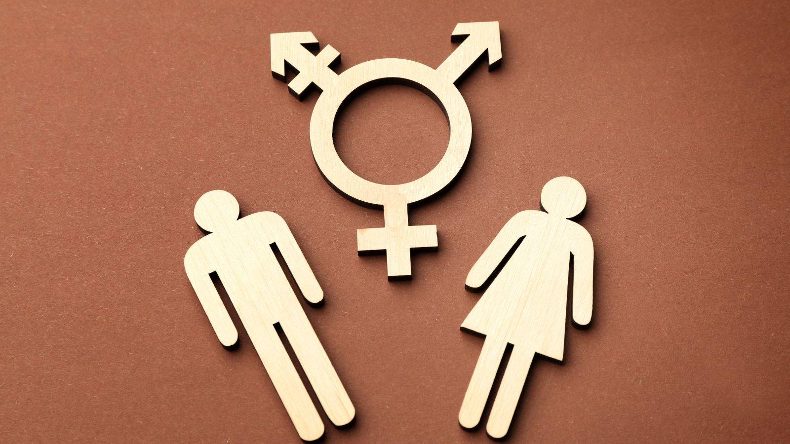 Transgender symbol with parent figures representing transgender parental rights UK 2025 Supreme Court ruling on birth certificates and Gender Recognition Act legal parentage