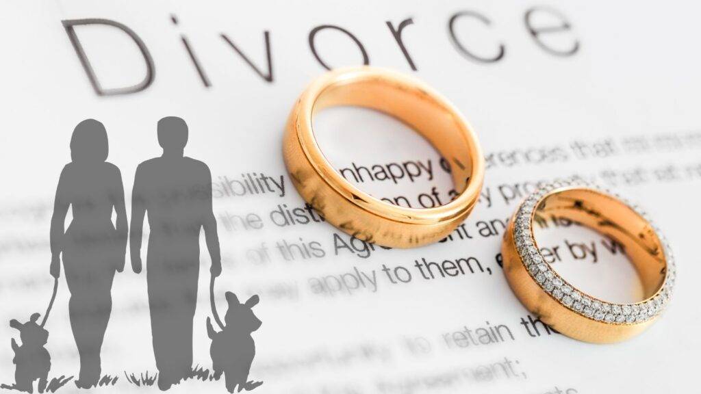 Divorce document with wedding rings and silhouettes of separating couple with dog and cat representing pet custody divorce UK 2025 legal arrangements and animal welfare considerations