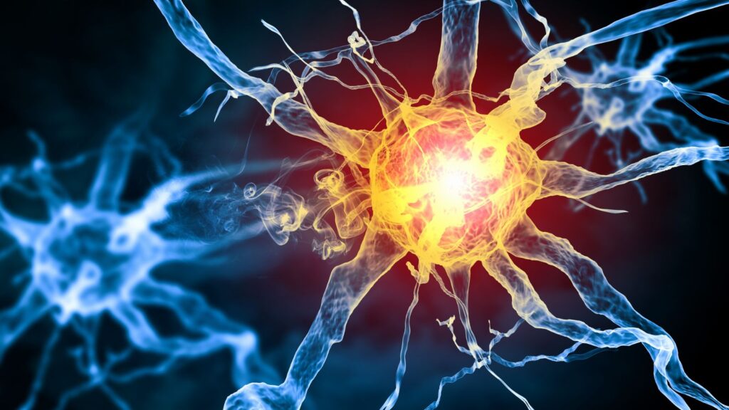 Detailed neuron and nerve pathway illustration representing nerve damage compensation calculator UK 2025 assessment