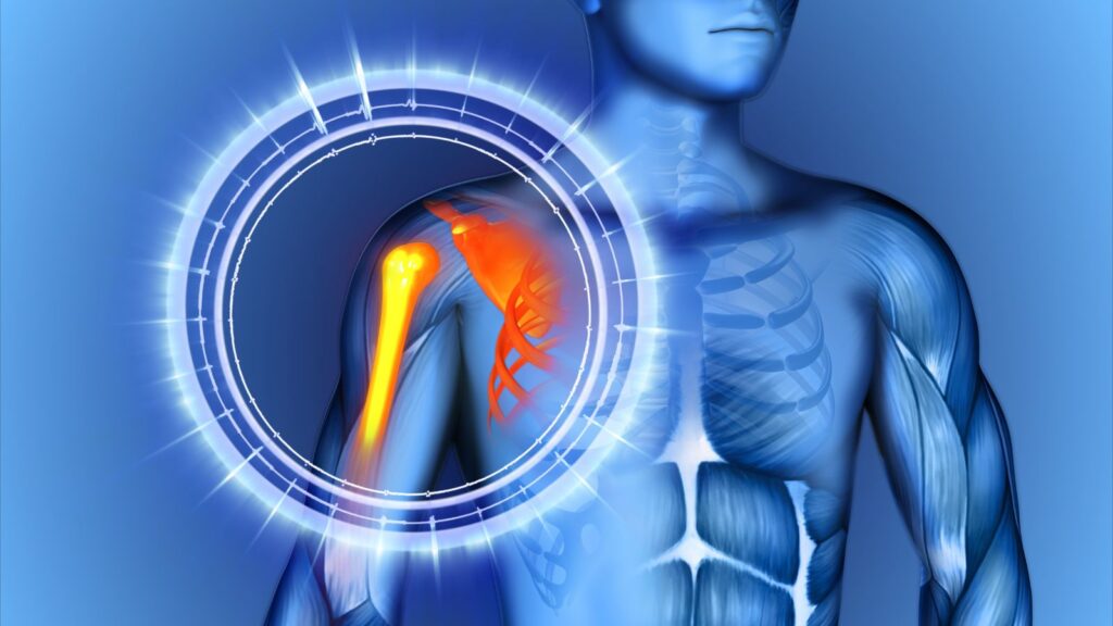 Shoulder anatomy magnified view showing injury assessment relevant to shoulder injury compensation calculator UK 2025