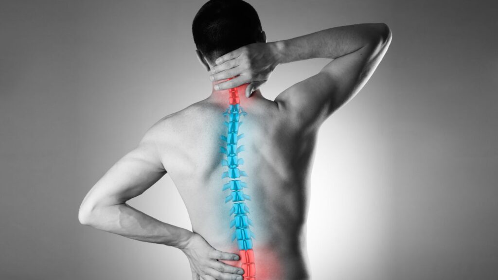 Spinal anatomy showing back injury areas relevant to back injury compensation calculator UK 2025 assessment