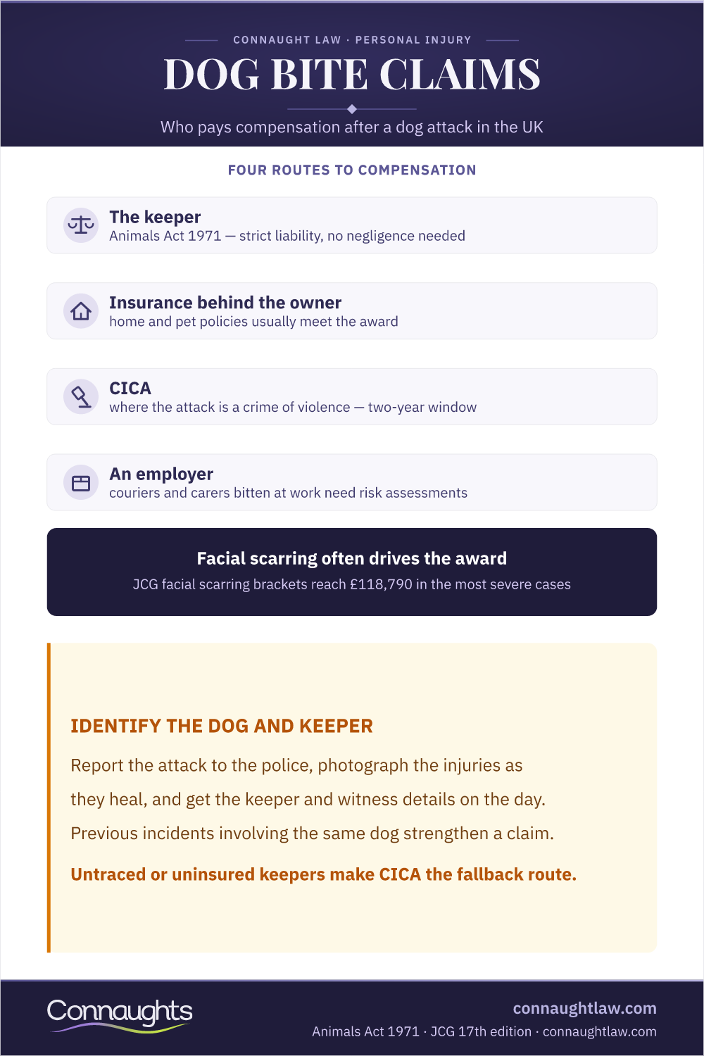 Dog Bite Compensation Uk Infographic — Four Routes To Compensation Including Animals Act 1971 Strict Liability And Cica
